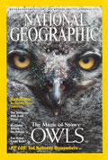 2002 December National Geographic Snowy Owl